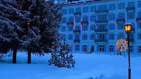 Snowy beauty