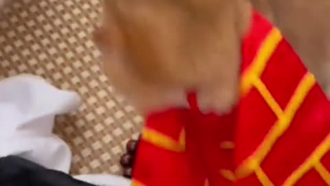 The youngest never loses style