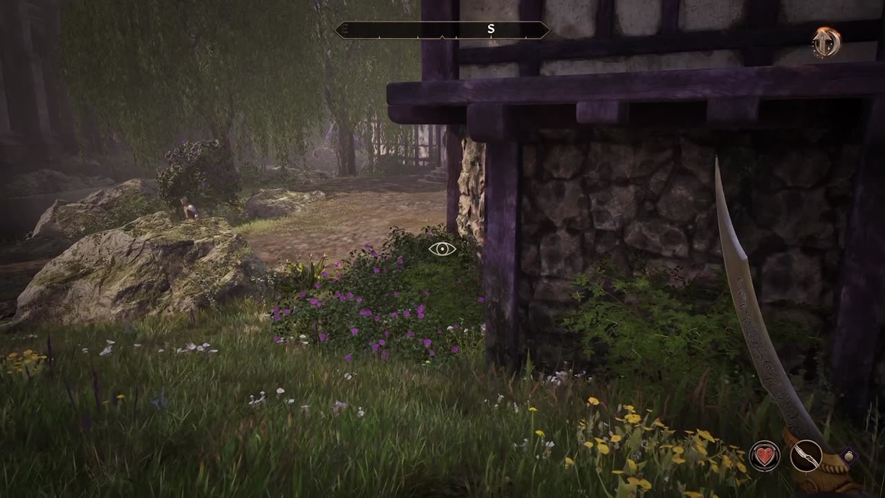 Finishing the Dark Brotherhood then joining the Thieves Guild.
