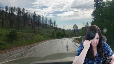 Wednesday Stream