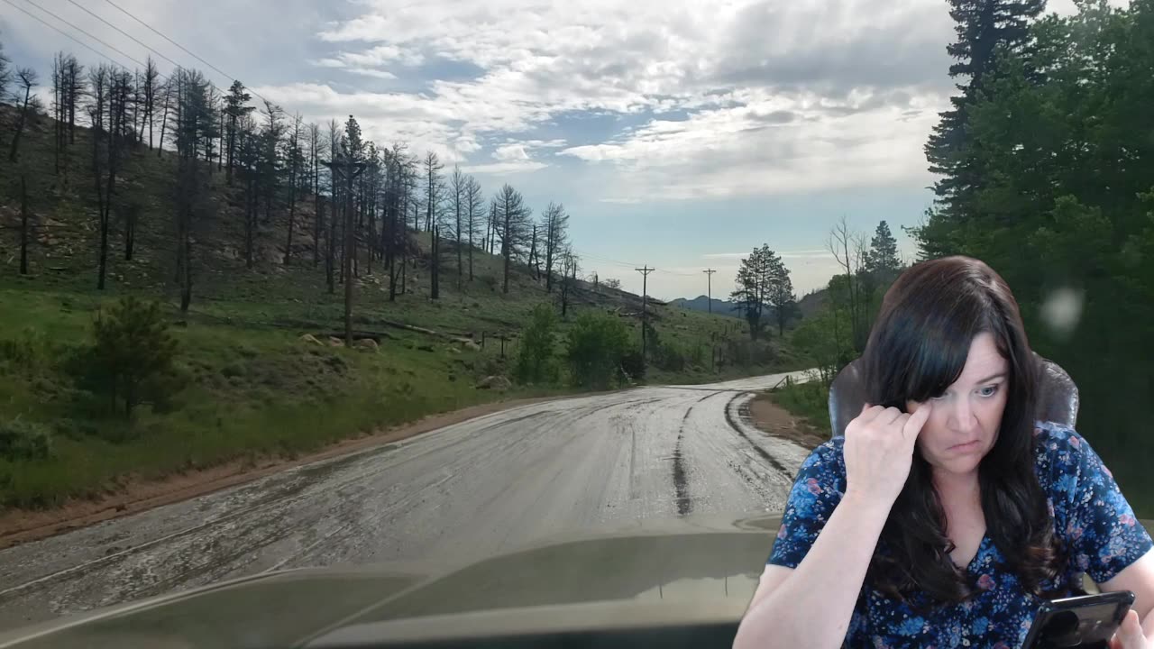 Wednesday Stream