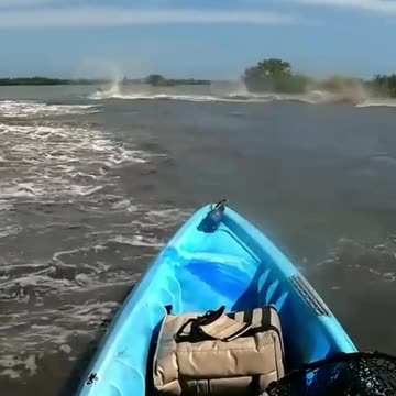 🚨 Something Weird Is Moving in the Water… What Is This?! 🌊👀