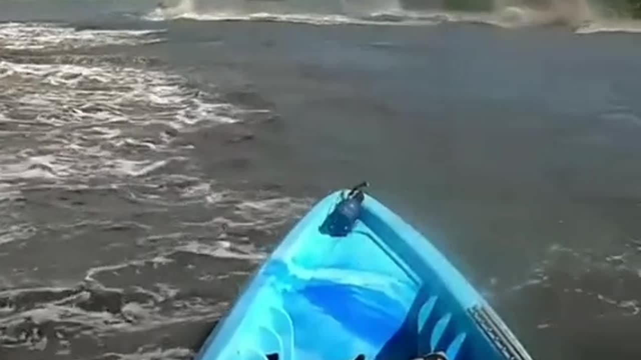 ๐จ Something Weird Is Moving in the Waterโฆ What Is This?! ๐๐