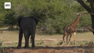 Through the Lens, Across the Planet