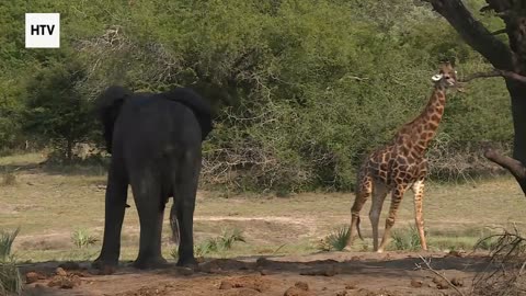 Through the Lens, Across the Planet