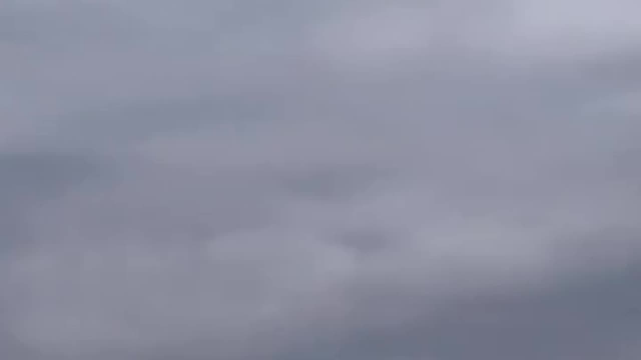 Birds Being Trained to Hunt Russian Drones