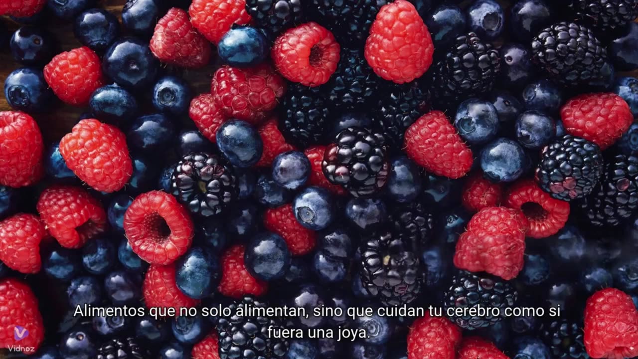 🧠 Los 7 Alimentos Que Protegen Tu Cerebro Como Un Escudo Antimisiles