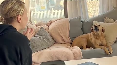 Dogs say to their owners : I love you !