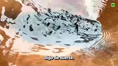 Guardianes del río Cauca: legado, territorio y dignidad