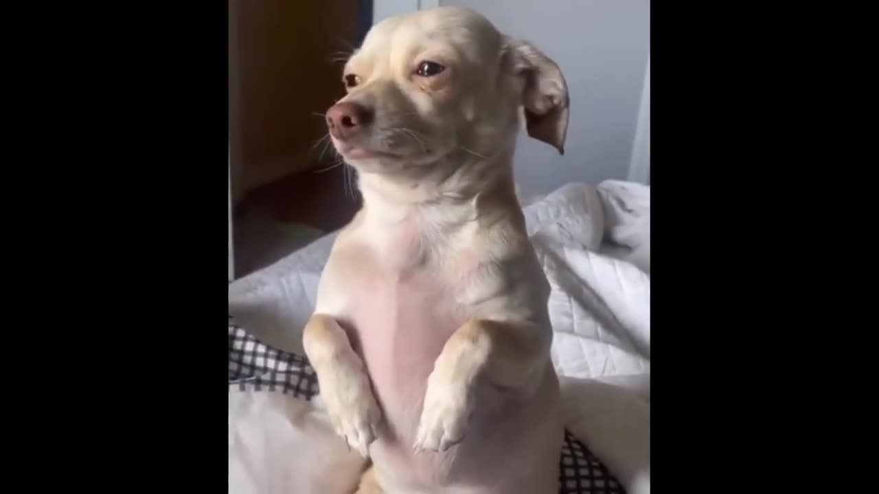 ⚠️ Sheeeeeeeeeeeeeeeeeeeeeeeeeeeit