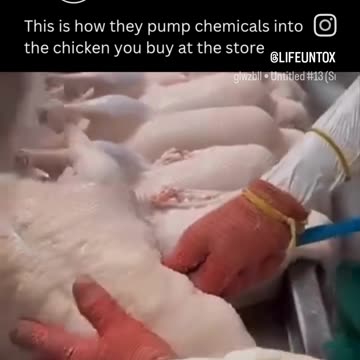 Who Knew This About Chicken?