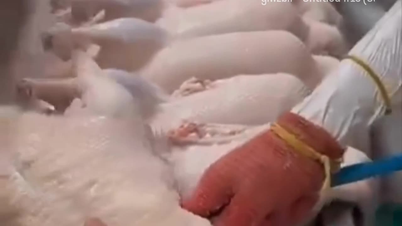 Who Knew This About Chicken?