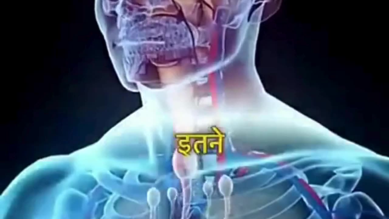 ऐसी ताकतवर डाइट जिसे खाने से हड्डियां लोहे की तरह मजबूत हो जाएंगी और तेजी से वजन बढ़ेगा