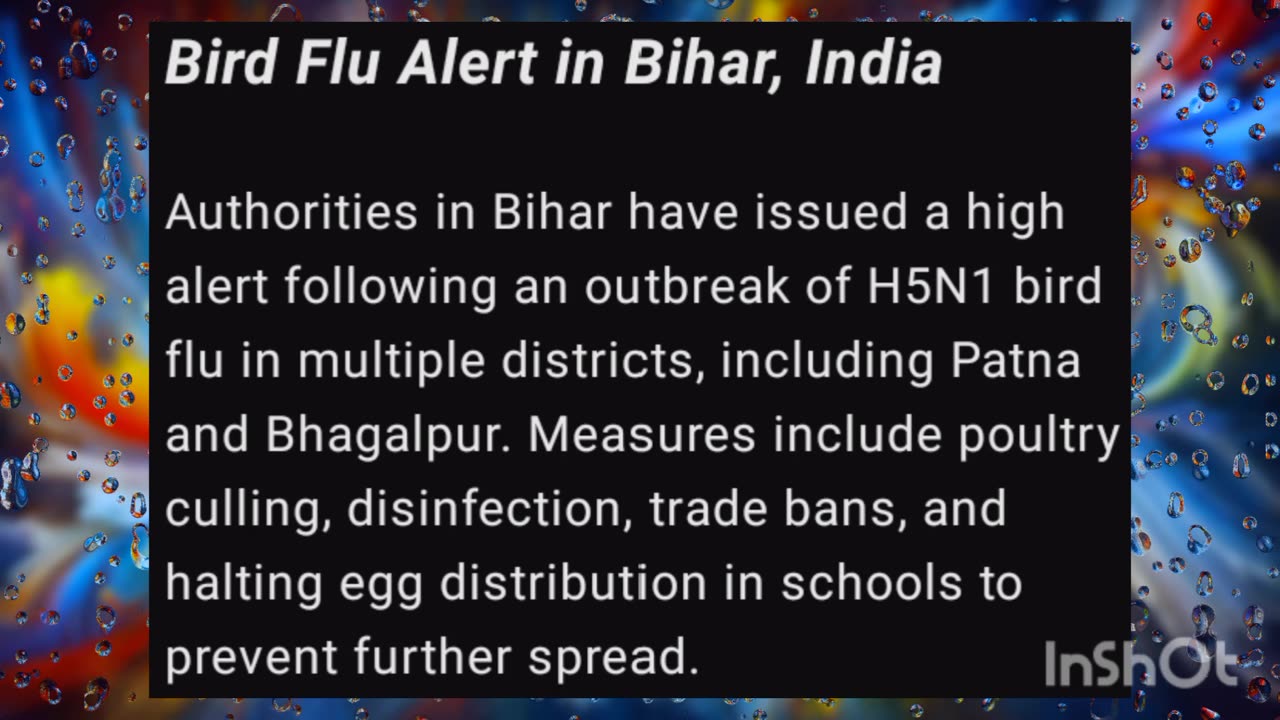 Bird Flu Alert in Bihar, India