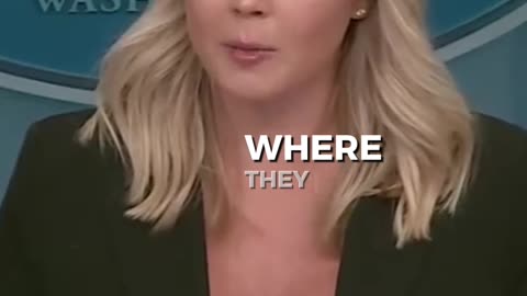 Press Secretary Karoline Leavitt Questioned on Jeffrey Epstein Client List and Accountability
