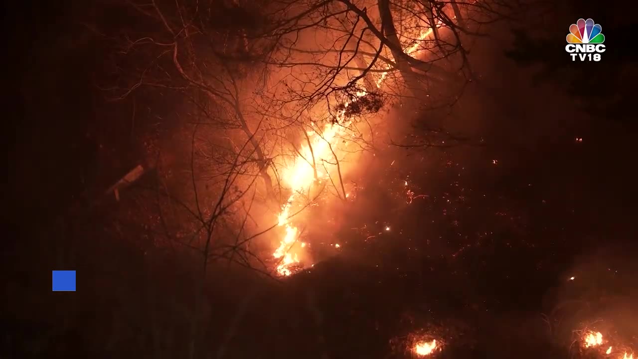 South Korea Wildfire: Helicopter Crashes During Rescue Efforts Killing Pilot | N18G