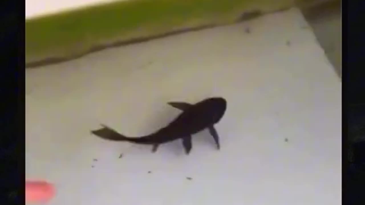 This might also happen in antarctica