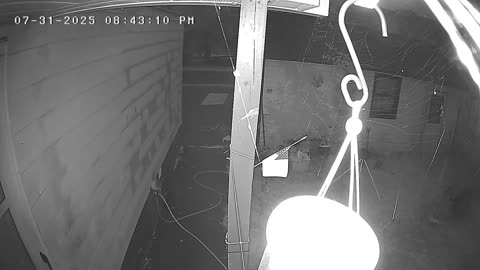7.31.2025 Spider at Night( Find the Spider)