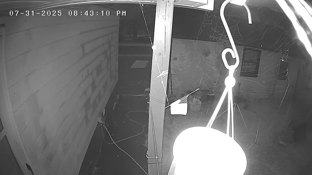 7.31.2025 Spider at Night( Find the Spider)