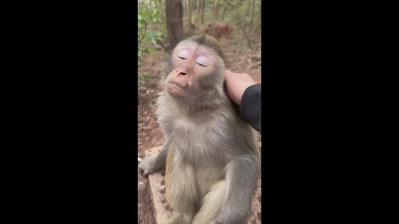 THERE IS NEVER TOO MUCH AFFECTION