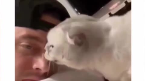 The funniest things