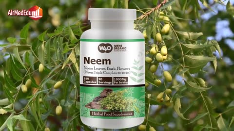 Neem, 30 Beneficios para la Salud