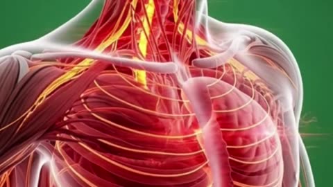 effect of coffee in human body #facts #science #coffee