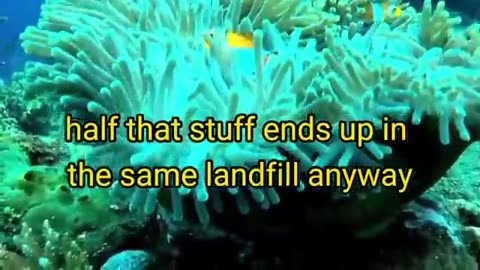 George Carlin Welcome to Earth Sorry About the People