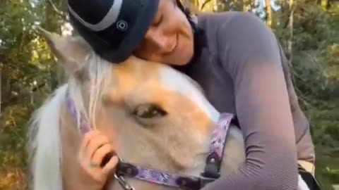Gentleman horse