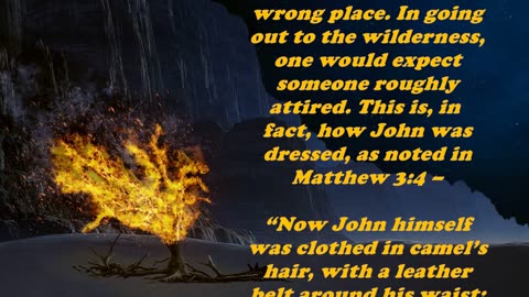 Matthew 11:8 - Daily Bible Verse Commentary