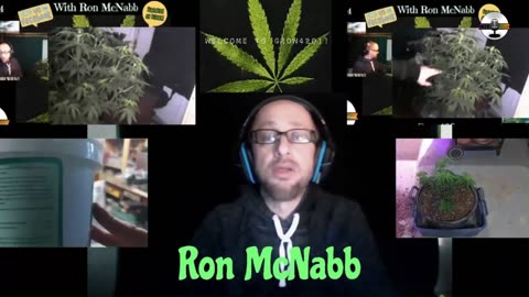 Grow420 Today
