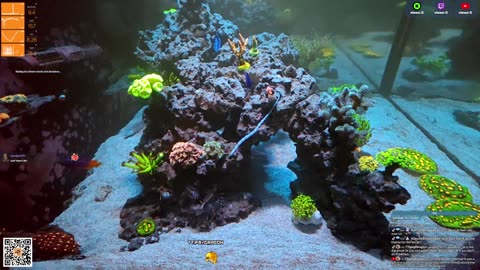 24/7 Real Live Reef Stream