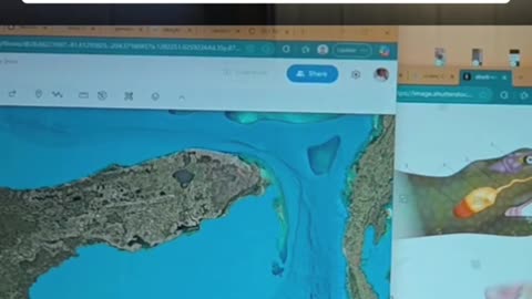 ABC ISLAND SERPENT HEAD: FLORIDA is the HEAD of a TITAN POISONOUS SERPENT, v45