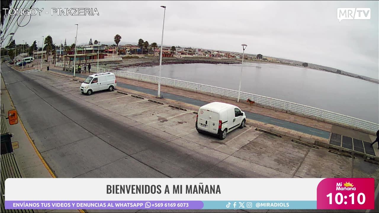MI MAÑANA 24/03/2025