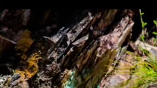 EXTRACCION DE URANIO Y COLTAN, EN LAS MINAS DEL SUR DE VENEZUELA.