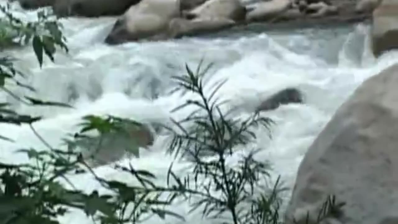 The Krystal River Dance part 7 of 10 Ashayana Deane