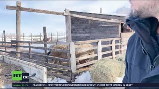 RT DE Live-TV