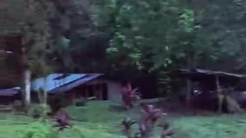 good morning Costa Rica