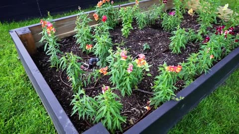 Grandma raised bed gardening hacks but they get increasingly more clever