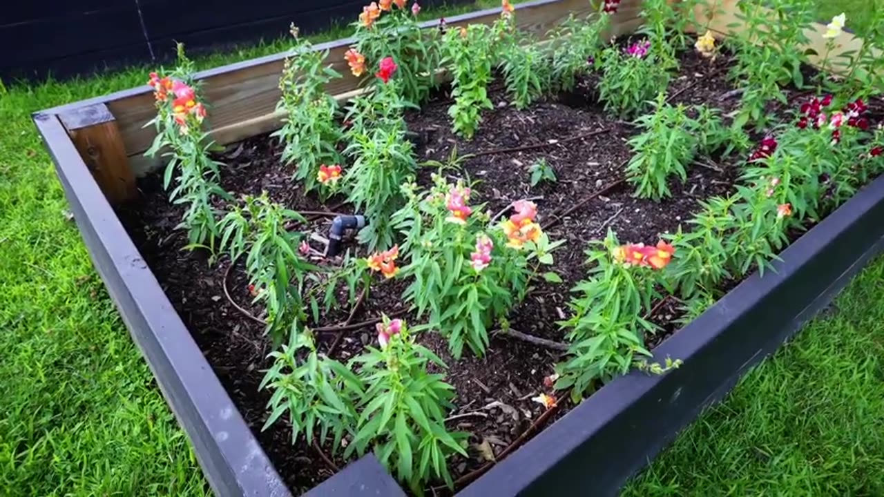 Grandma raised bed gardening hacks but they get increasingly more clever