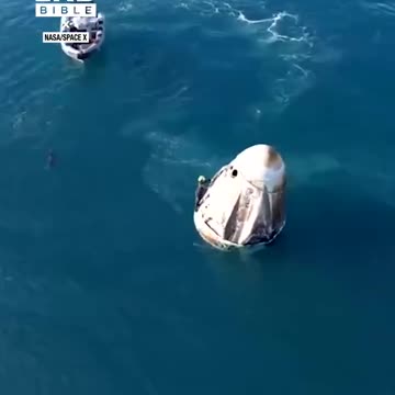 Dolphin's greet astronauts on their return to Earth 😲🐬