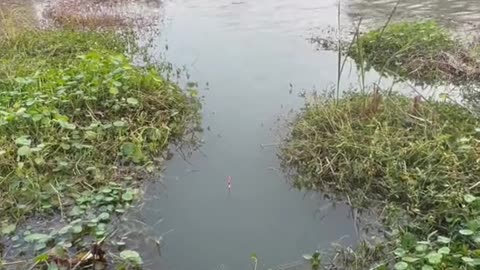 Go fishing