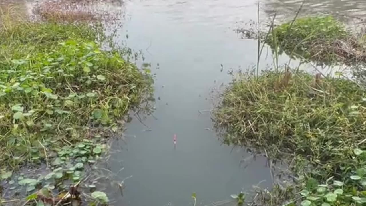 Go fishing