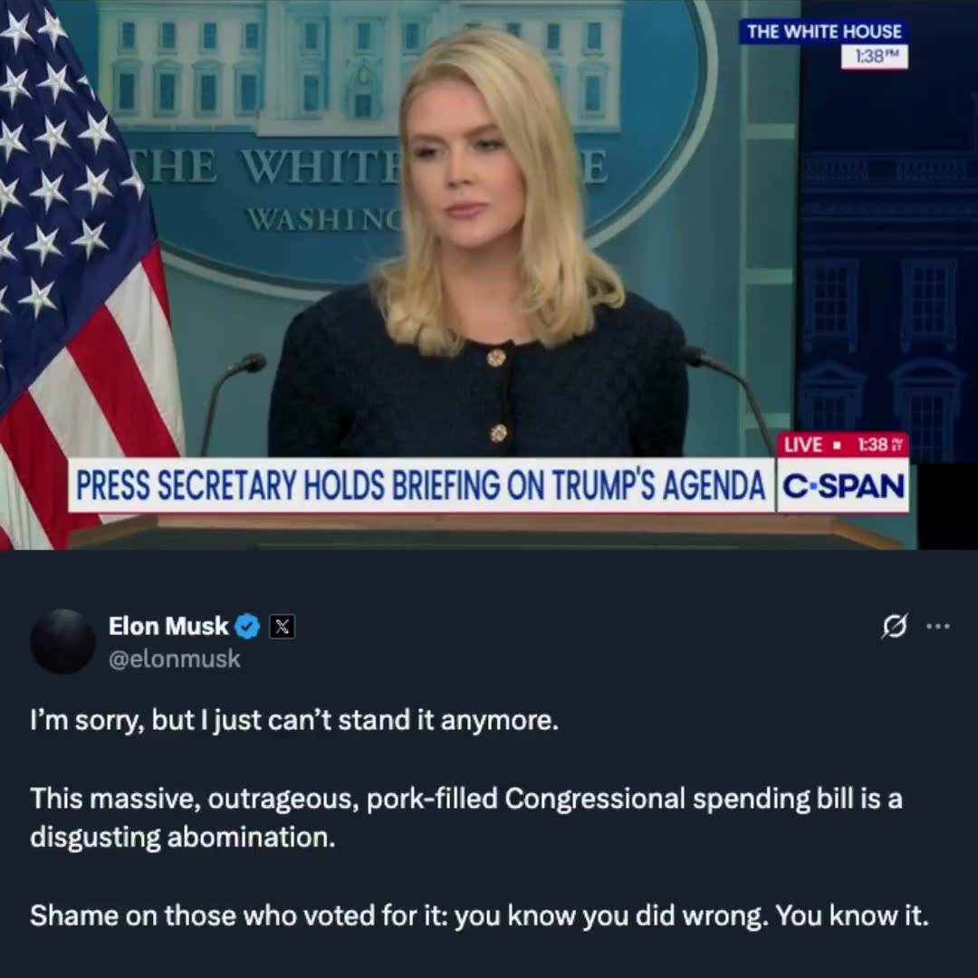 Karoline Leavitt responds to Elon Musks tweet about Trumps Big, Beautiful Bill