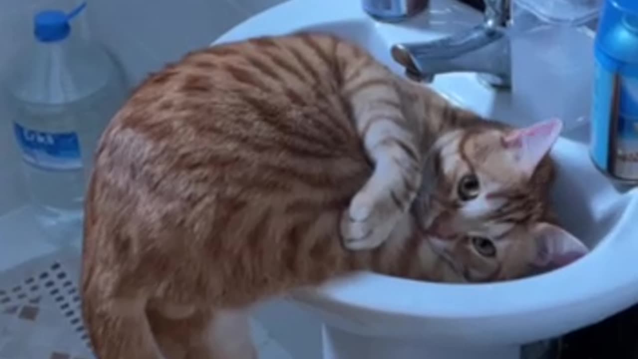 Baby trying to relive its childhood memories