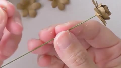 Paper Craft