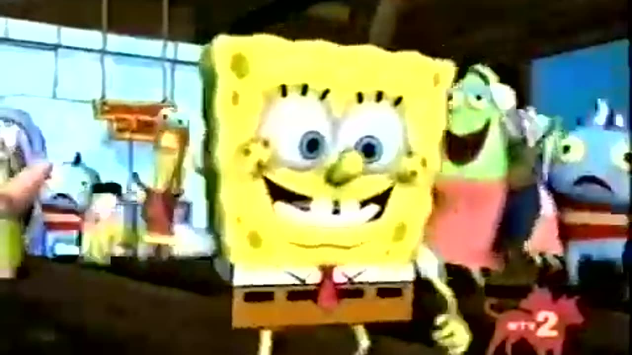 sponge182