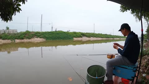 Fly Fishing for Rainbow Trout in a Remote River