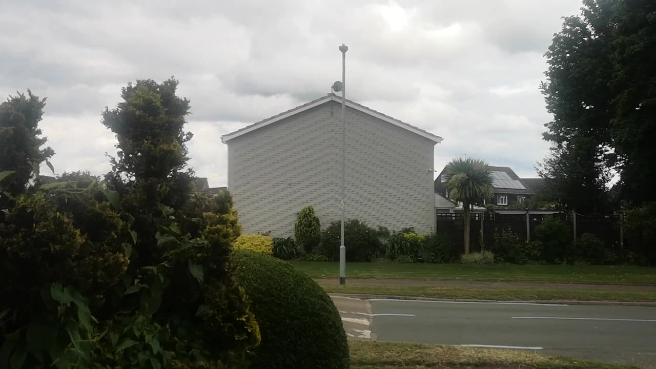 Time To Flood And Burn Infect The Ants Nest