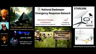 SHUNGITE REALITY 6/10/25 - Beekeeper Emergency Response Network